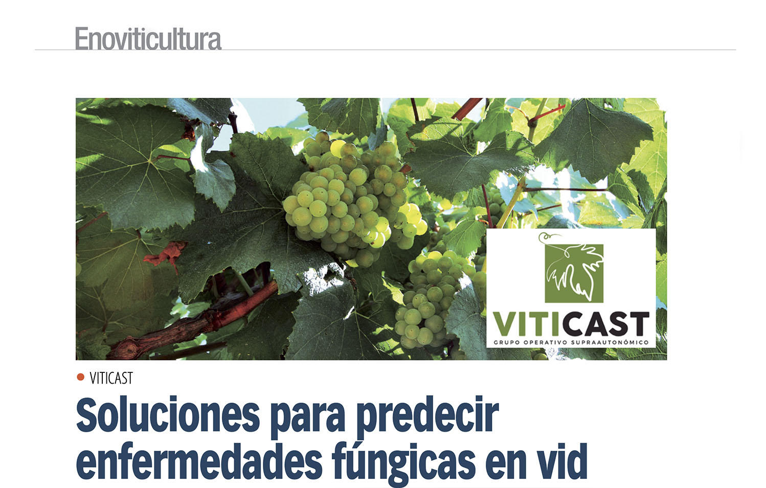 Viticast - Noticia